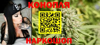 крисы Кунгур