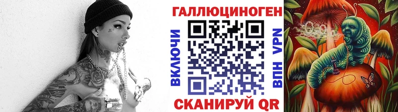 блэк спрут ссылки  Кизилюрт  Галлюциногенные грибы Cubensis 