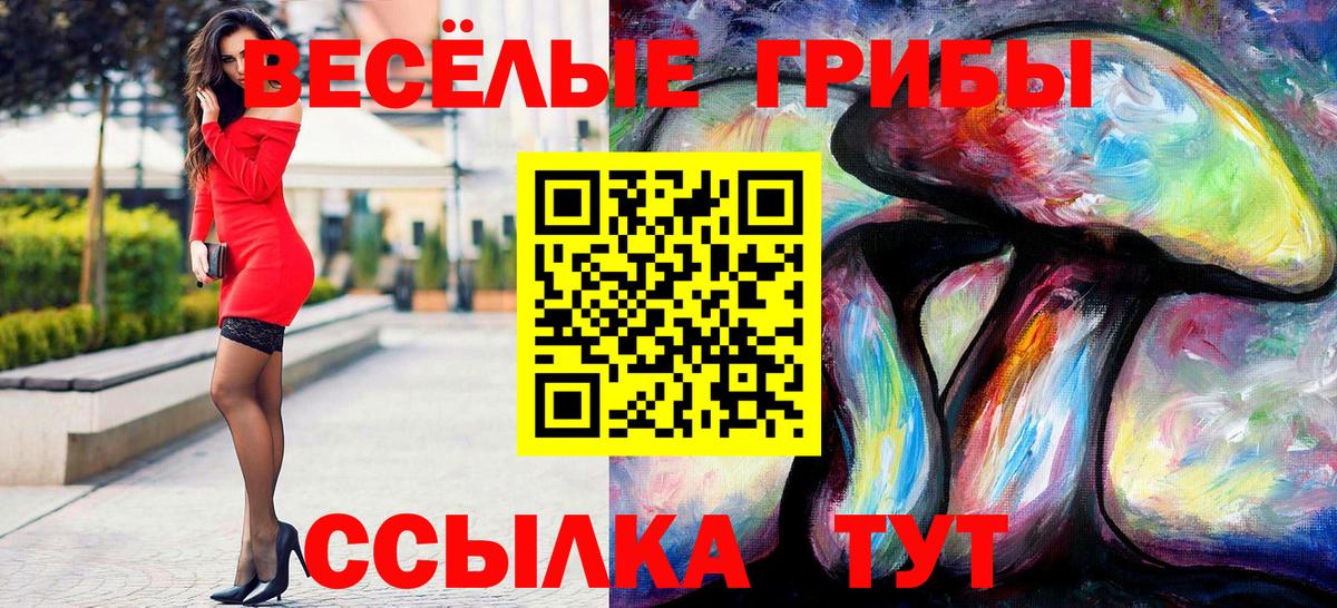 Кизилюрт  Галлюциногенные грибы Psilocybine cubensis  Вход с VPN 